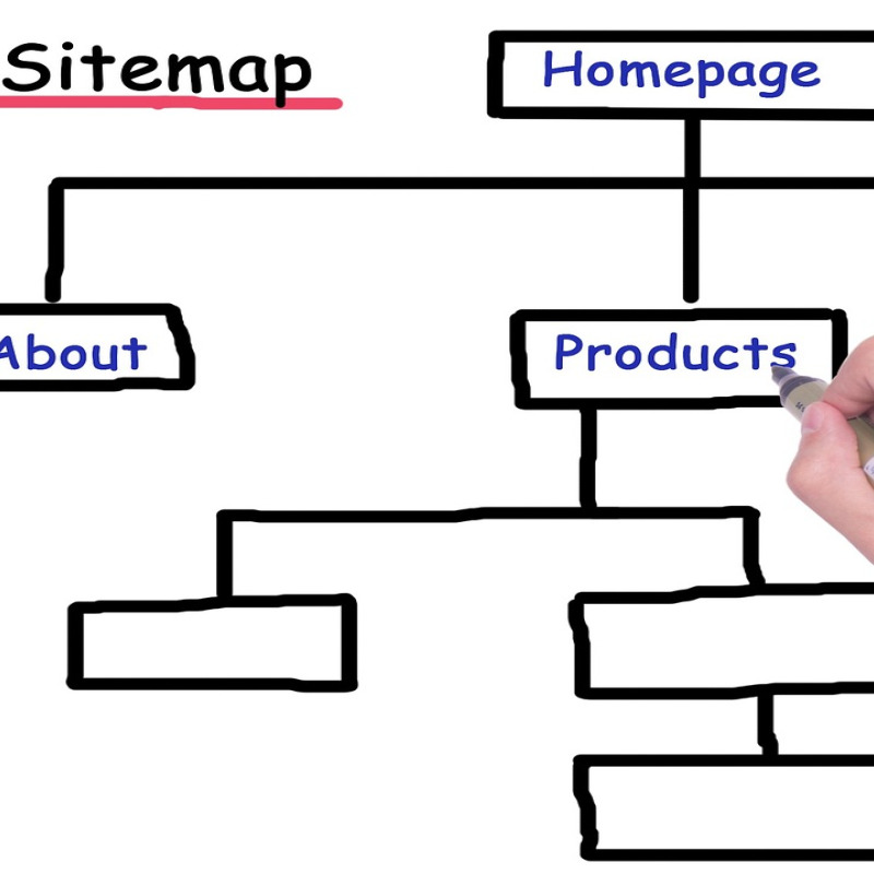 website content layout